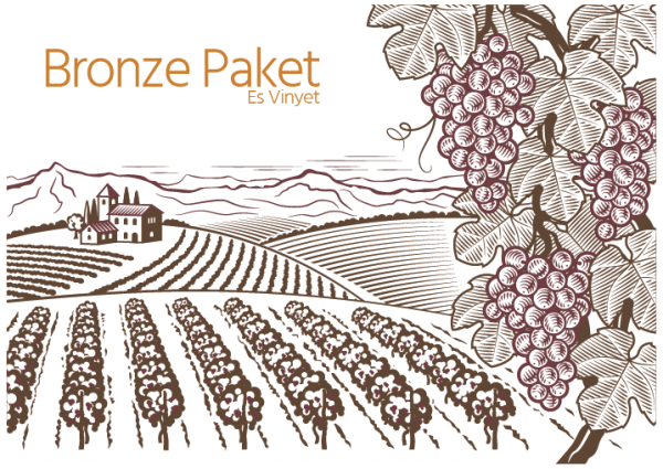 Bronze Paket - Ihr eigener Weinberg auf Es Vinyet