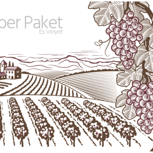 Silber Paket - Ihr eigener Weinberg auf Es Vinyet