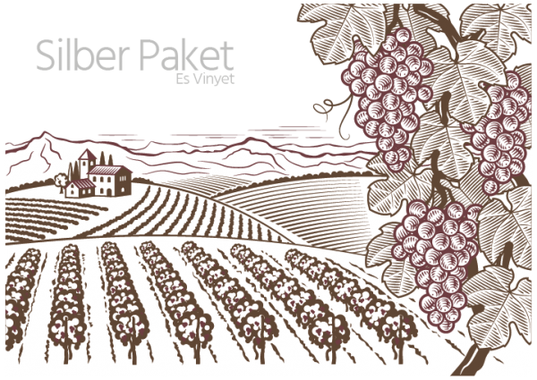 Silber Paket - Ihr eigener Weinberg auf son Garcies