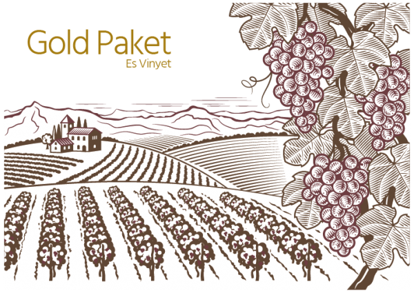 Gold Paket - Ihr eigener Weinberg auf Es Vinyet