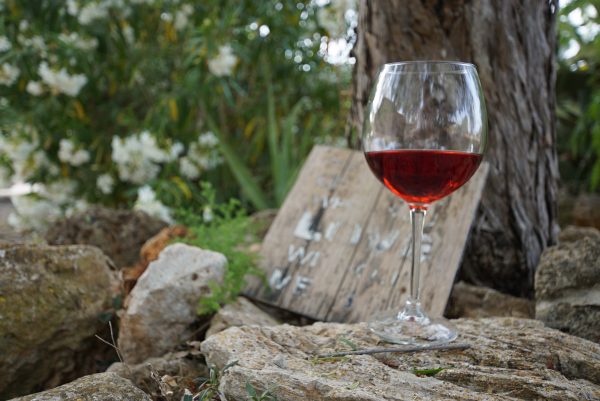 Weinprobe, Einkauf und Paella - Image 18