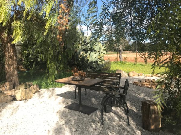 Fincaurlaub Kennenlernpaket:    3 Tage mit Weinprobe & Paella - Image 9