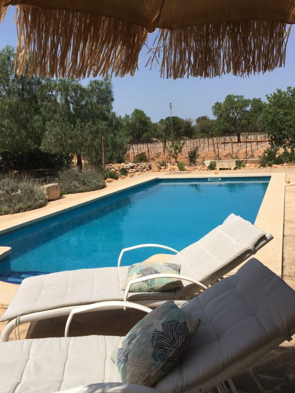 Fincaurlaub Kennenlernpaket:    3 Tage mit Weinprobe & Paella - Image 3