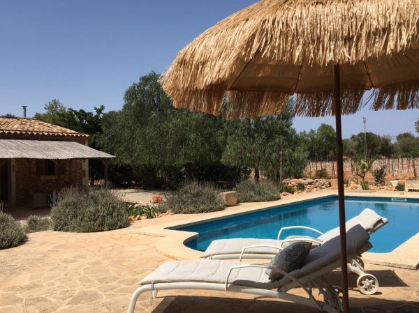 Fincaurlaub Kennenlernpaket:    3 Tage mit Weinprobe & Paella