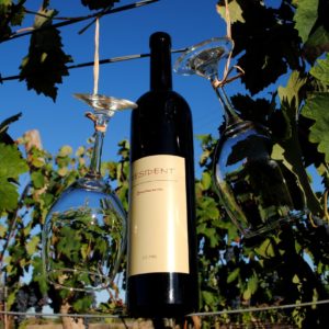 Resident negre - Cabernet Sauvignon und Syrah