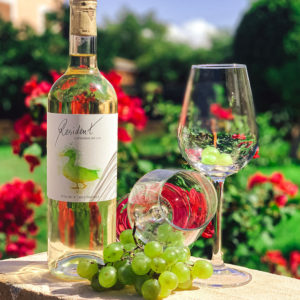 Resident Blanco - Sauvignon Blanc