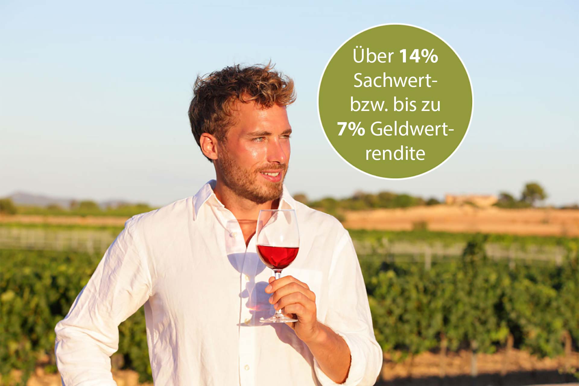 Winzer Aktie